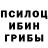 Галлюциногенные грибы Magic Shrooms Gloria Maddison