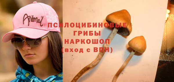 экстази Карпинск