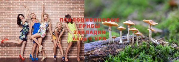 экстази Карпинск