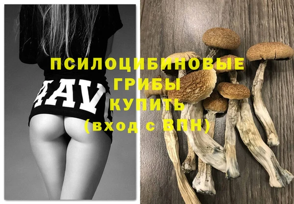 экстази Карпинск