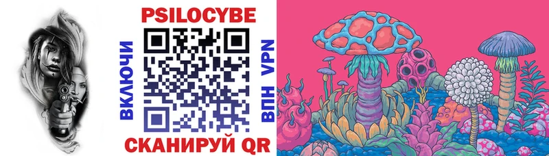 Купить где  Чусовой  Галлюциногенные грибы Psilocybine cubensis 